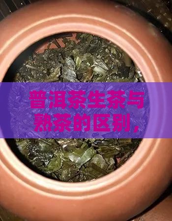 普洱茶怎样区分生熟茶