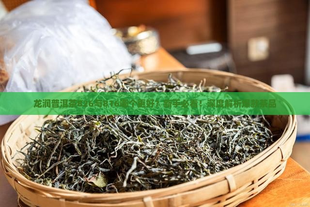 龙润普洱茶826与816