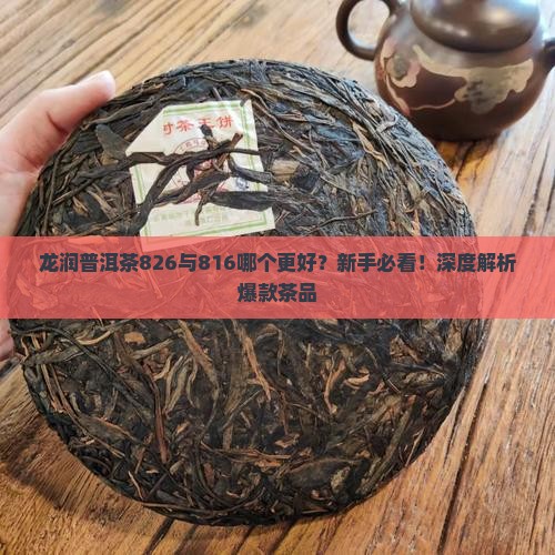 龙润普洱茶826与816