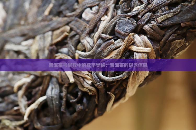 普洱茶号尾数代表什么