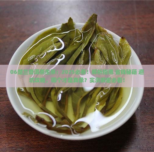 06楚兰普洱茶生茶