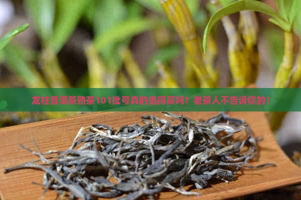 龙柱普洱茶熟茶101批号