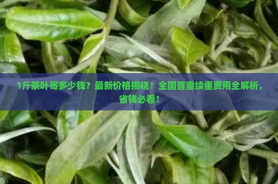 1斤茶叶寄快递多少钱