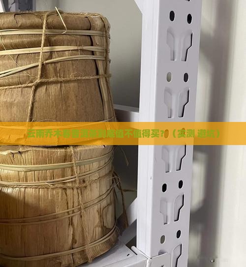 云南乔木春普洱茶