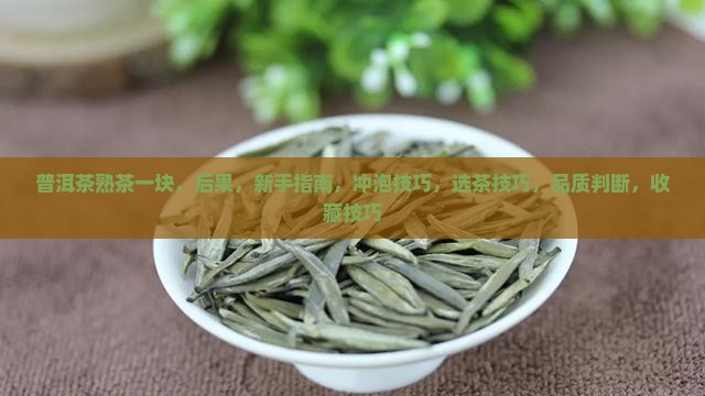 普洱茶熟茶一块