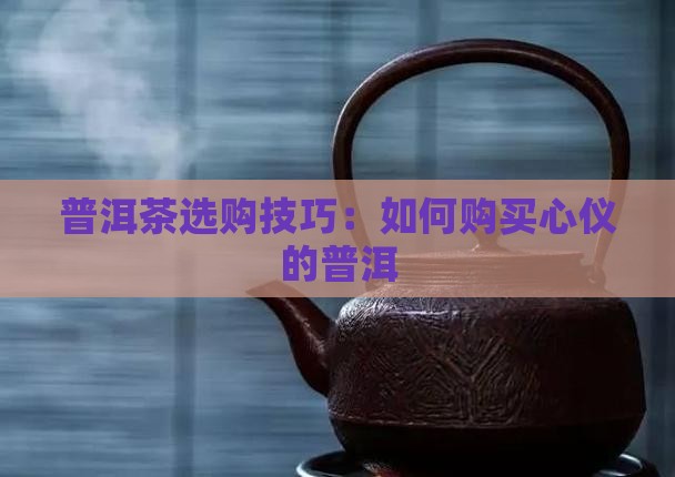 普洱茶山购买茶技巧
