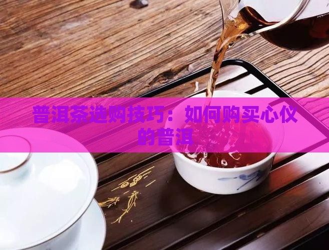 普洱茶山购买茶技巧