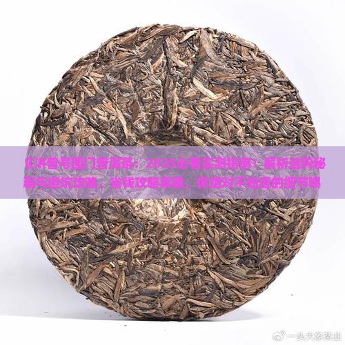 洪普号国门普洱茶