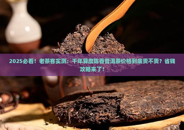 千年异度陈香普洱茶的价格