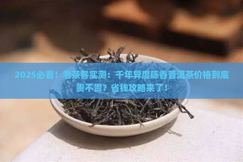 千年异度陈香普洱茶的价格
