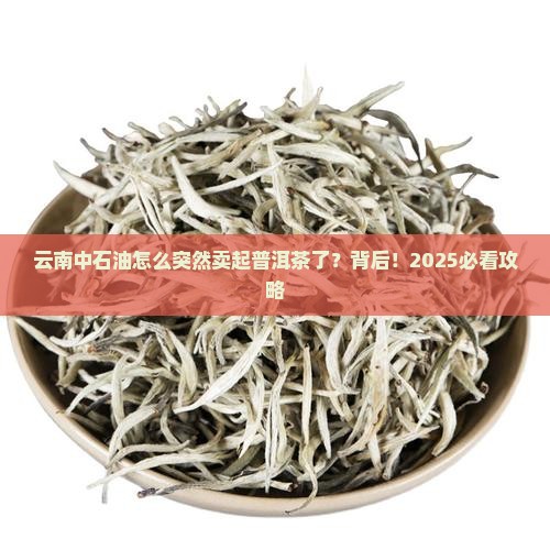 云南中石油普洱茶