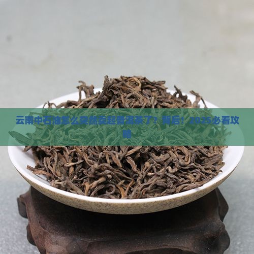 云南中石油普洱茶