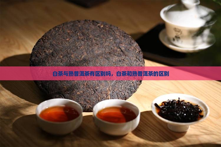 白茶与熟普洱茶有区别吗