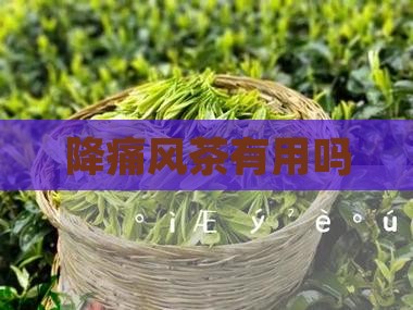 降痛风茶有用吗