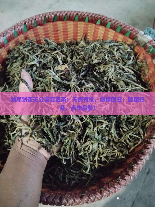 勐库饼茶无公害普洱茶