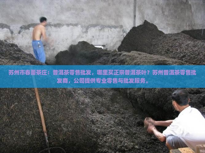 苏州普洱茶零售批发商