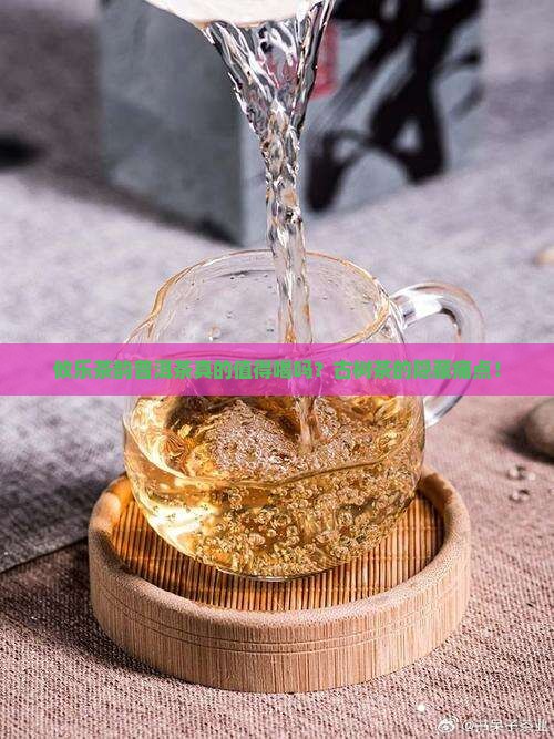 攸乐茶韵普洱茶