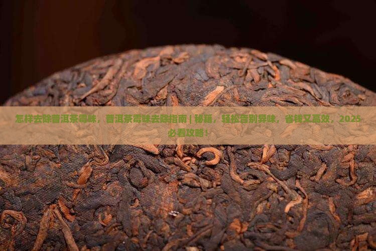 怎样去除普洱茶霉味