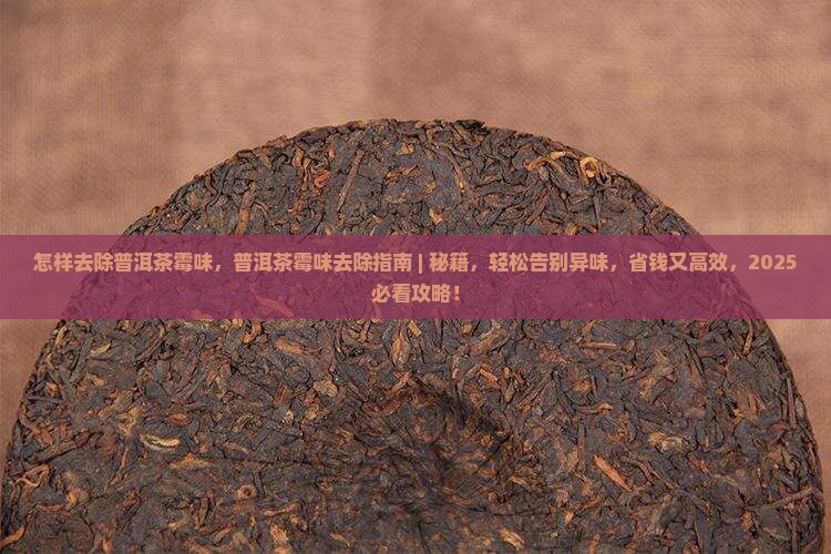 怎样去除普洱茶霉味