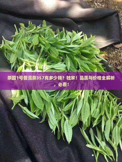 茶国1号普洱茶357克多少钱