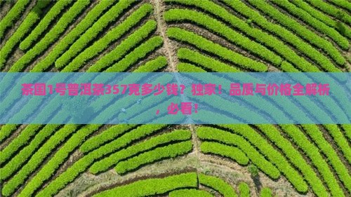 茶国1号普洱茶357克多少钱