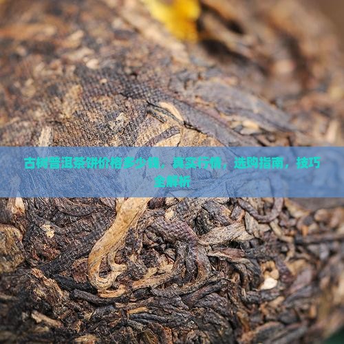 古树普洱茶饼价格多少钱