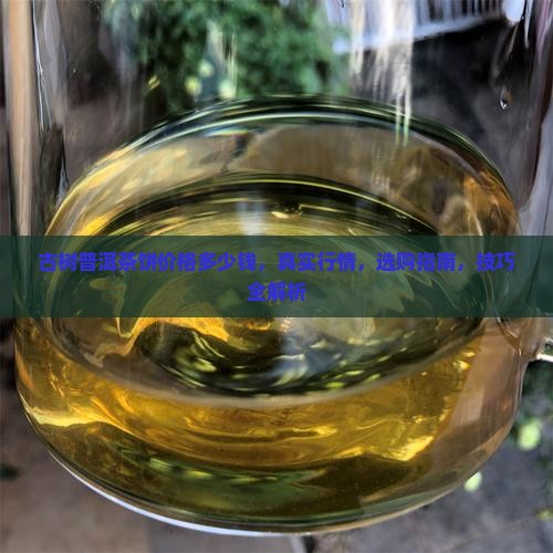 古树普洱茶饼价格多少钱