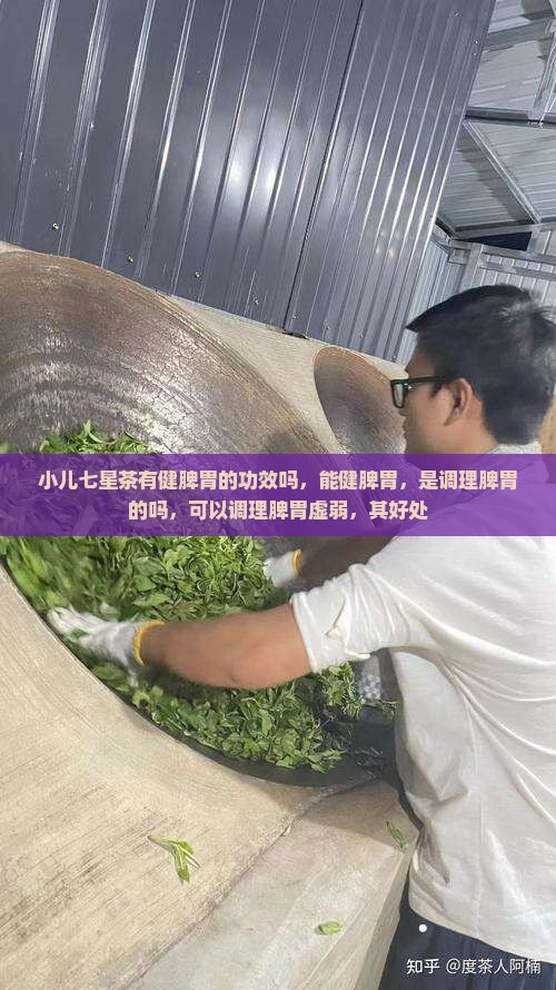 小儿七星茶有健脾胃的功效吗