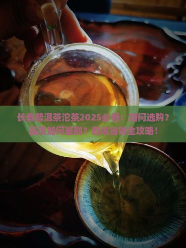 长春普洱茶沱茶