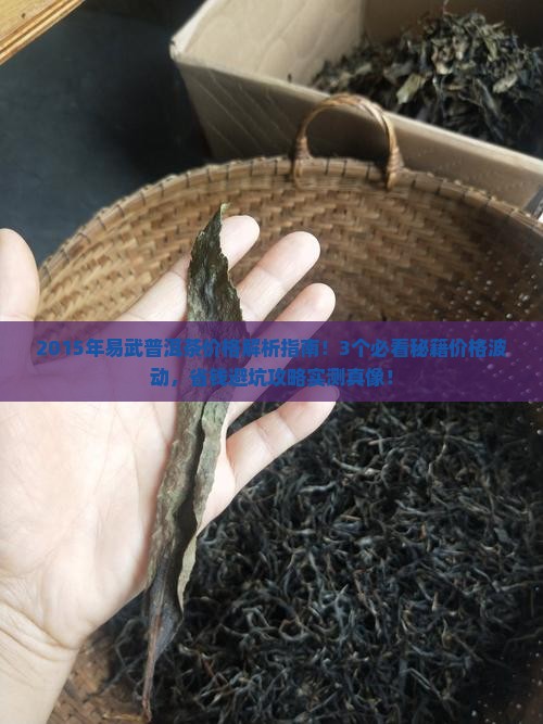 2015年易武普洱茶价格