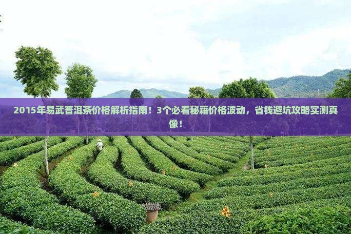 2015年易武普洱茶价格