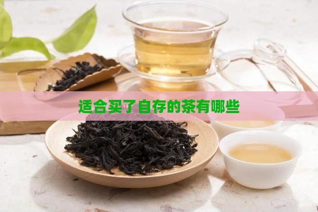什么茶适合买了自存