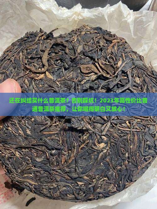 值得购买的普通普洱茶