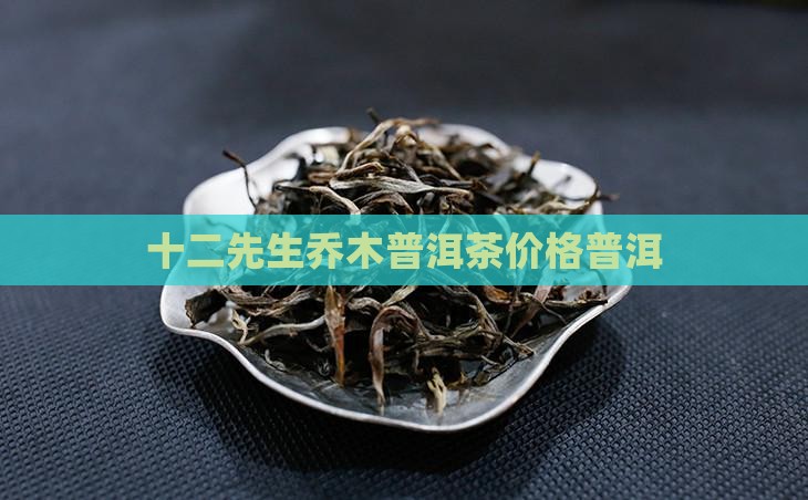 十二先生大树乔木普洱茶