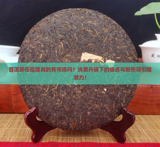 普洱茶在福建的市场分析