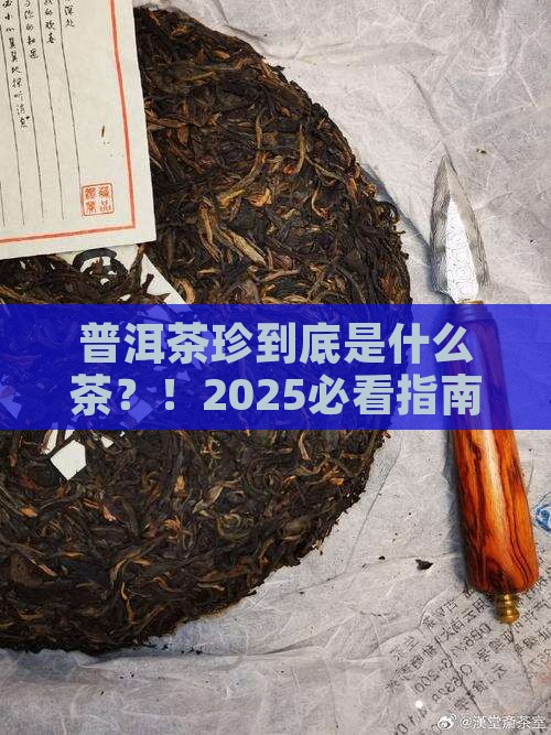普洱茶珍是什么茶
