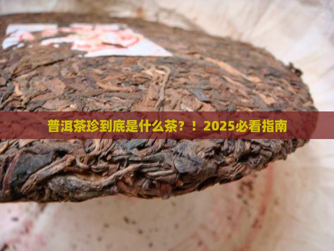普洱茶珍是什么茶