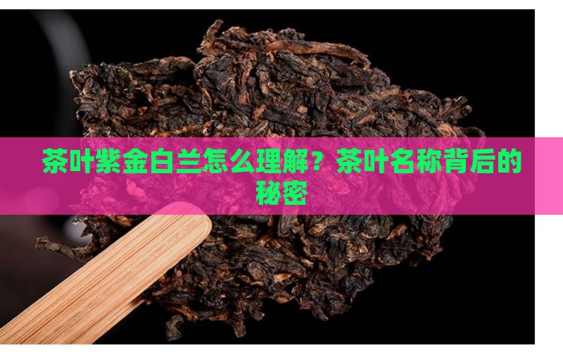 茶叶紫金白兰怎么理解