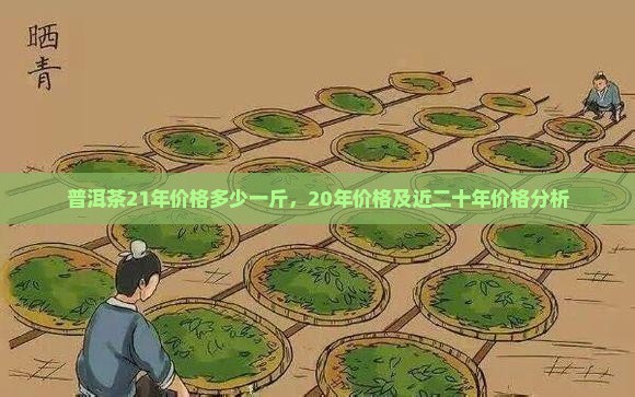 普洱茶21年价格多少一斤