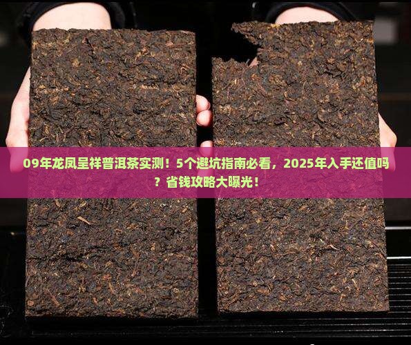 09年龙凤呈祥普洱茶