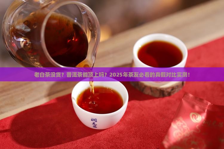 老白茶可以用普洱茶代替吗