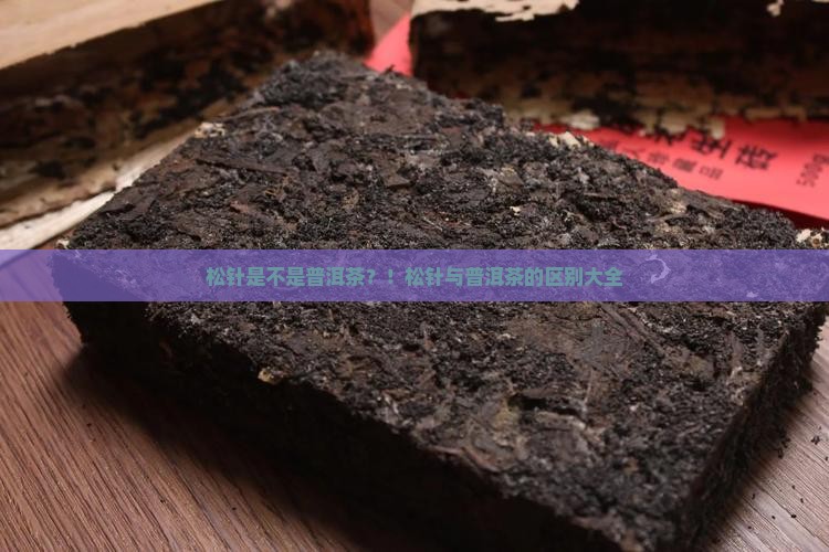 松针是不是普洱茶