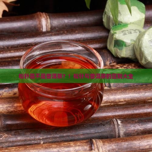 松针是不是普洱茶