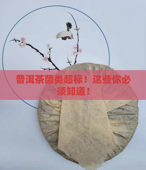 普洱茶菌类超标
