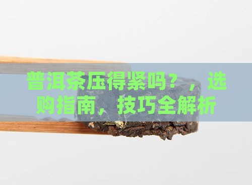 普洱茶压得紧吗