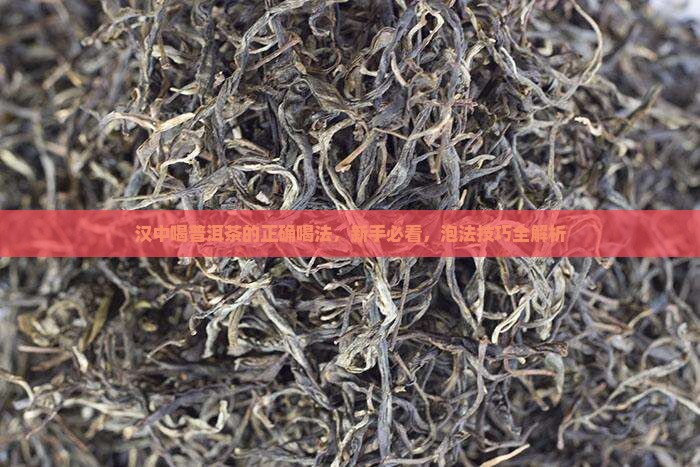 汉中喝普洱茶的正确喝法