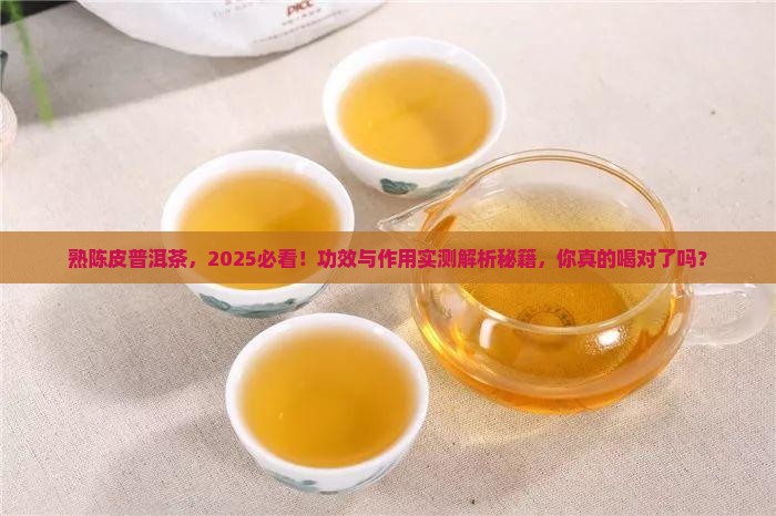 熟陈皮普洱茶功效与作用