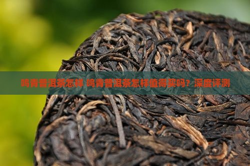鸣青普洱茶怎样
