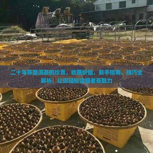 二十年陈普洱茶的珍贵
