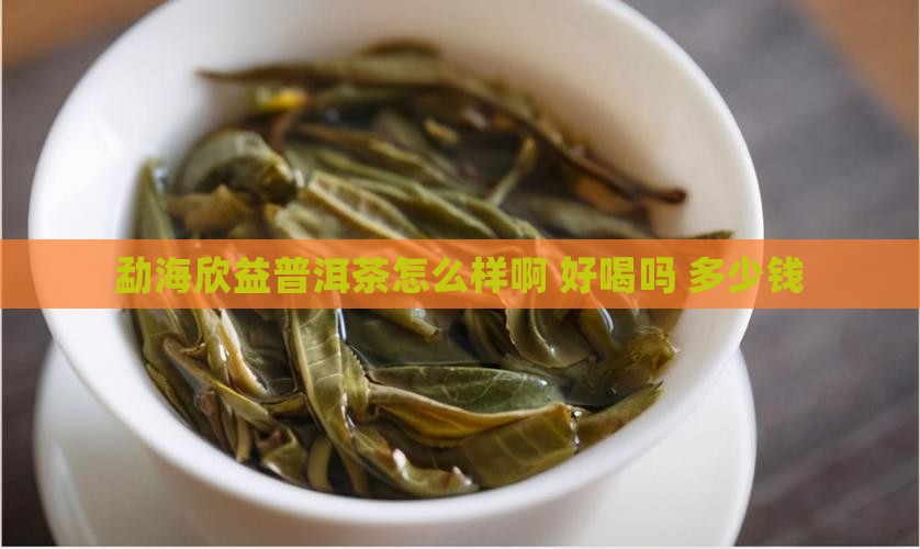 勐海欣益普洱茶怎么样啊